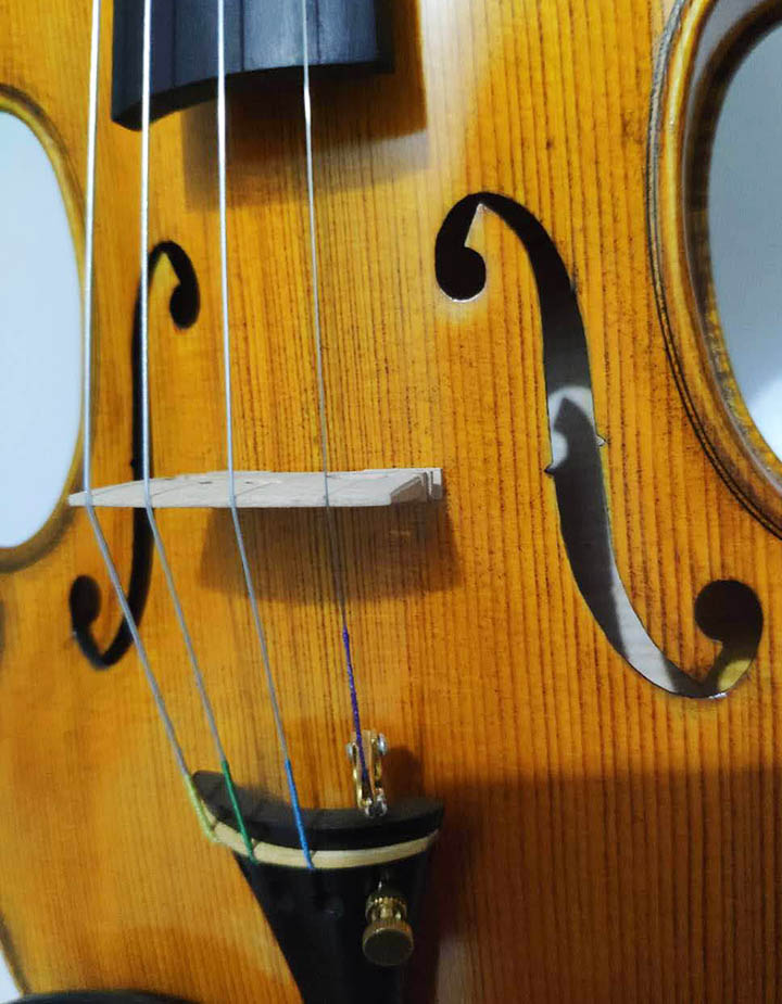 高性價比新手進階琴