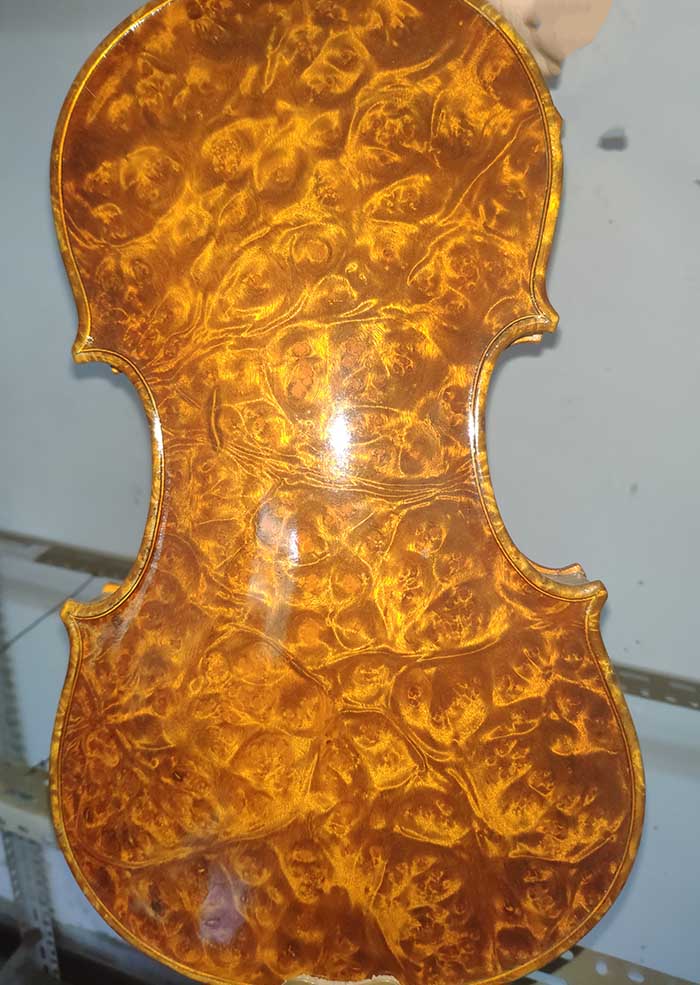 高顏值精美鳥眼楓-zd08