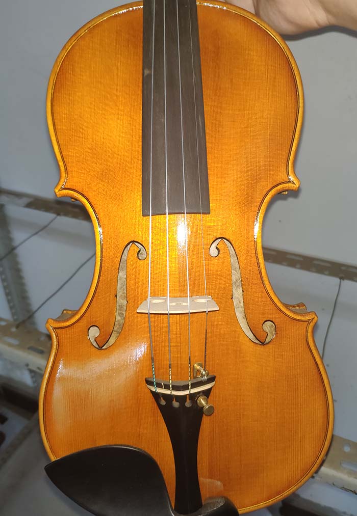 高顏值精美鳥眼楓-zd08