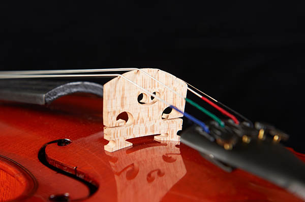 聊聊當(dāng)今的小提琴市場(chǎng)，老琴收藏要謹(jǐn)慎！
