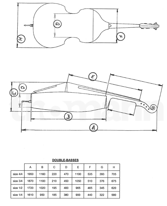 低音提琴尺寸規(guī)格