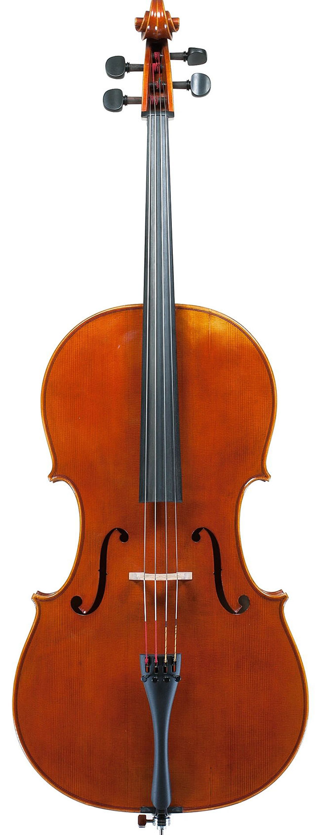 專業級大提琴