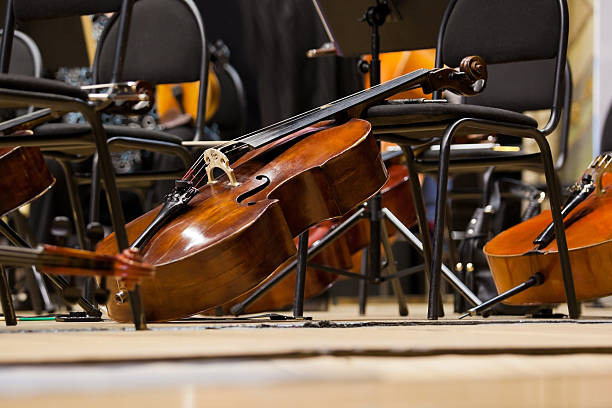 學(xué)大提琴和學(xué)二胡有什么區(qū)別？