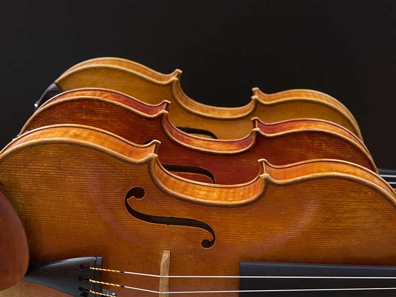 學中提琴有這么多優勢，為什么總是被黑