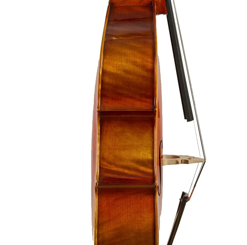 棕色仿古低音提琴